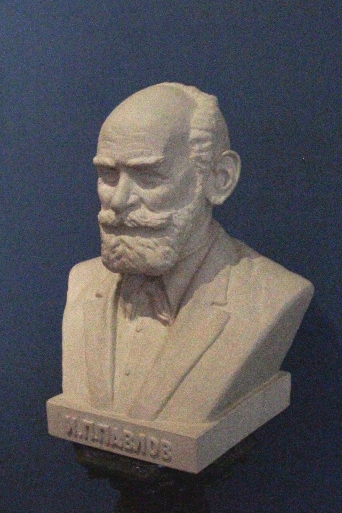 Ivan Pavlov's bust, Paul Stradins Museum, Riga - 03.JPG